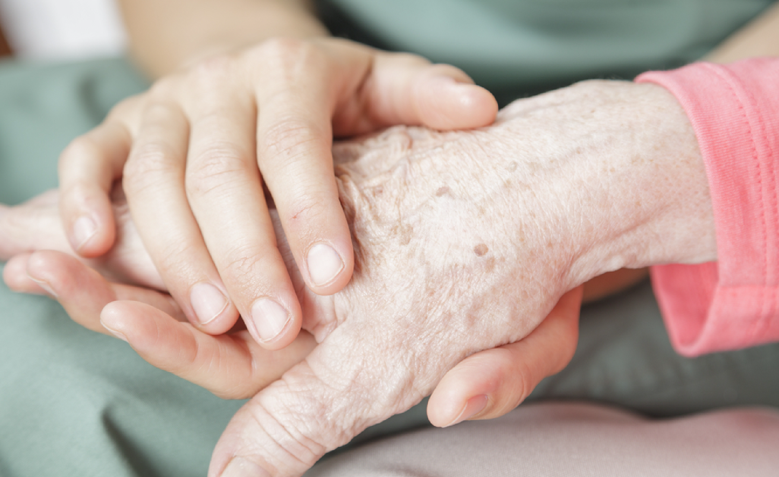 elder-law_featured